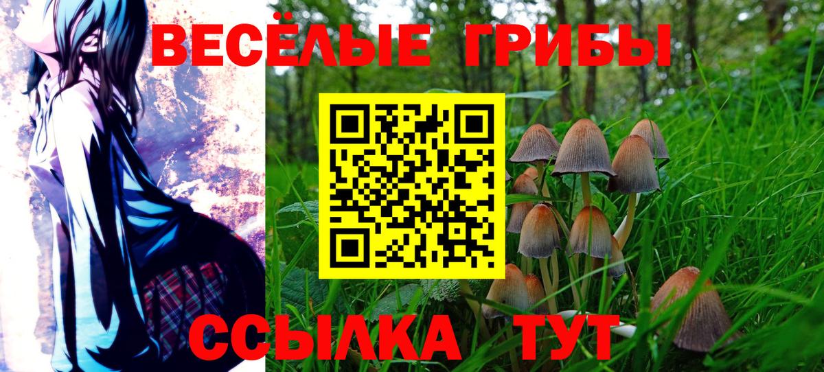 Псилоцибиновые грибы мухоморы  Вход с VPN  Галлюциногенные грибы Psilocybe  наркотики  Канаш 